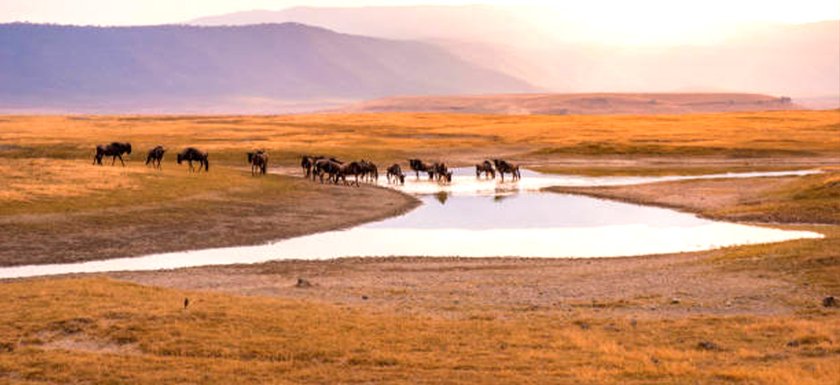 lake ngoro